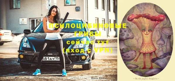 spice Абинск