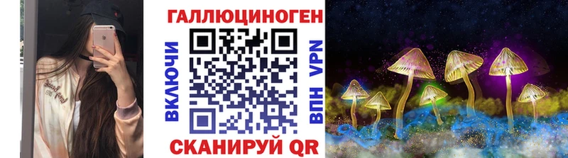 Галлюциногенные грибы Psilocybine cubensis  Куртамыш 