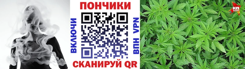 Каннабис OG Kush  Куртамыш 